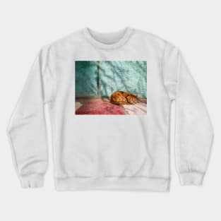 Cat orange sleep (naps) Crewneck Sweatshirt